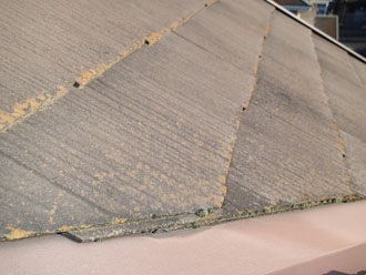 千葉県印旛郡酒々井町　外壁塗装　屋根塗装　バルコニー防水　点検　屋根の苔